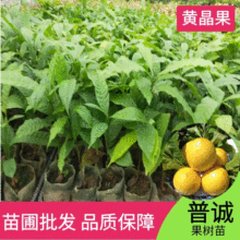 �S�����l���|̨���S�������S������������۵��S��ͥԺ���Թ�����