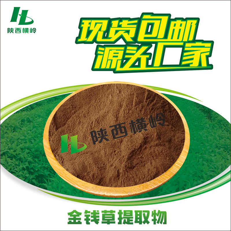 金钱草提取物30:1金线草粉大/过路黄水溶性现货食品级