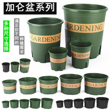 加仑控根盆新款二代加厚塑料矮胖加仑花盆绿萝月季多肉绿植园艺盆