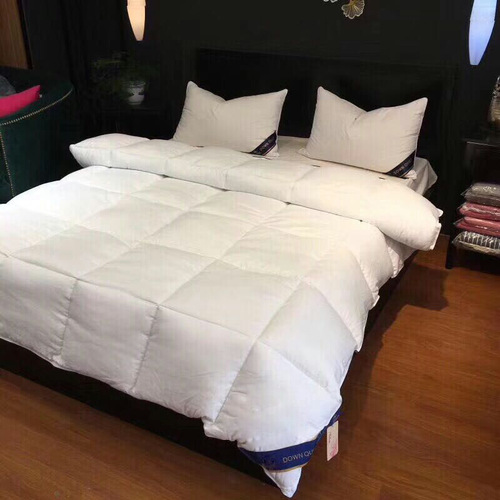 A drop-shipping Hill Shield duvet hotel thickened 8 pounds winter quilt feather velvet gift quilt bed and breakfast spring and autumn quilt