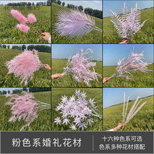 ��ɫϵ��c���ķ��滨ˇ ��Y��̨�����b��� ��̨���Ų��üٻ�