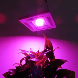 LED日光灯;植物生长灯;其他照明工业