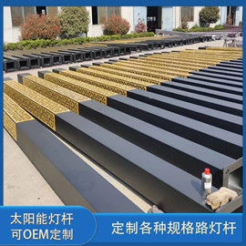 太阳能灯;庭院灯;道路照明灯