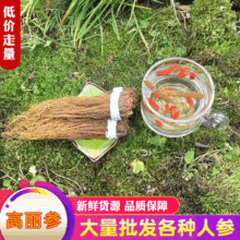 ���l�L��ɽ�˅�횼t��횰�������