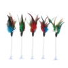 Single color spring spring
