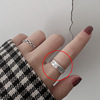 Retro fashionable one size brand ring hip-hop style, European style, silver 925 sample, Japanese and Korean, simple and elegant design, punk style, on index finger