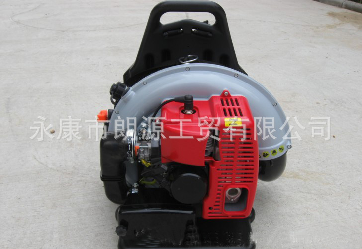 EB650吹风机 EB650背负式汽油吹风机 风力灭火机，吹雪机