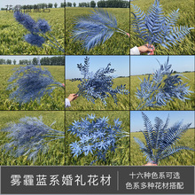 �F���{ɫ�������l ���{ɫ��c���Ĵ������] �{ɫ�~�����~�ٻ����l