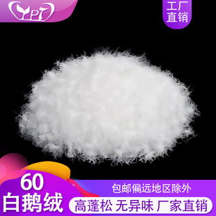 ��60���Z�q�Ҽ��������^���|���b��q��Ʒ�������ë��q