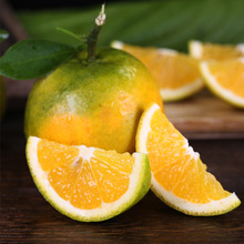 【精選果】湖北秭歸夏橙 代發3/9斤新鮮酸甜多汁甜橙子應季水果