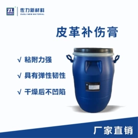 涂饰剂;鞋套、鞋刷;皮革家具