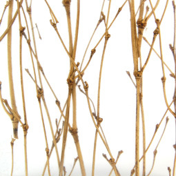 生态树脂板透光树脂板树脂装饰板树脂板装饰石材轻质保温轻量化