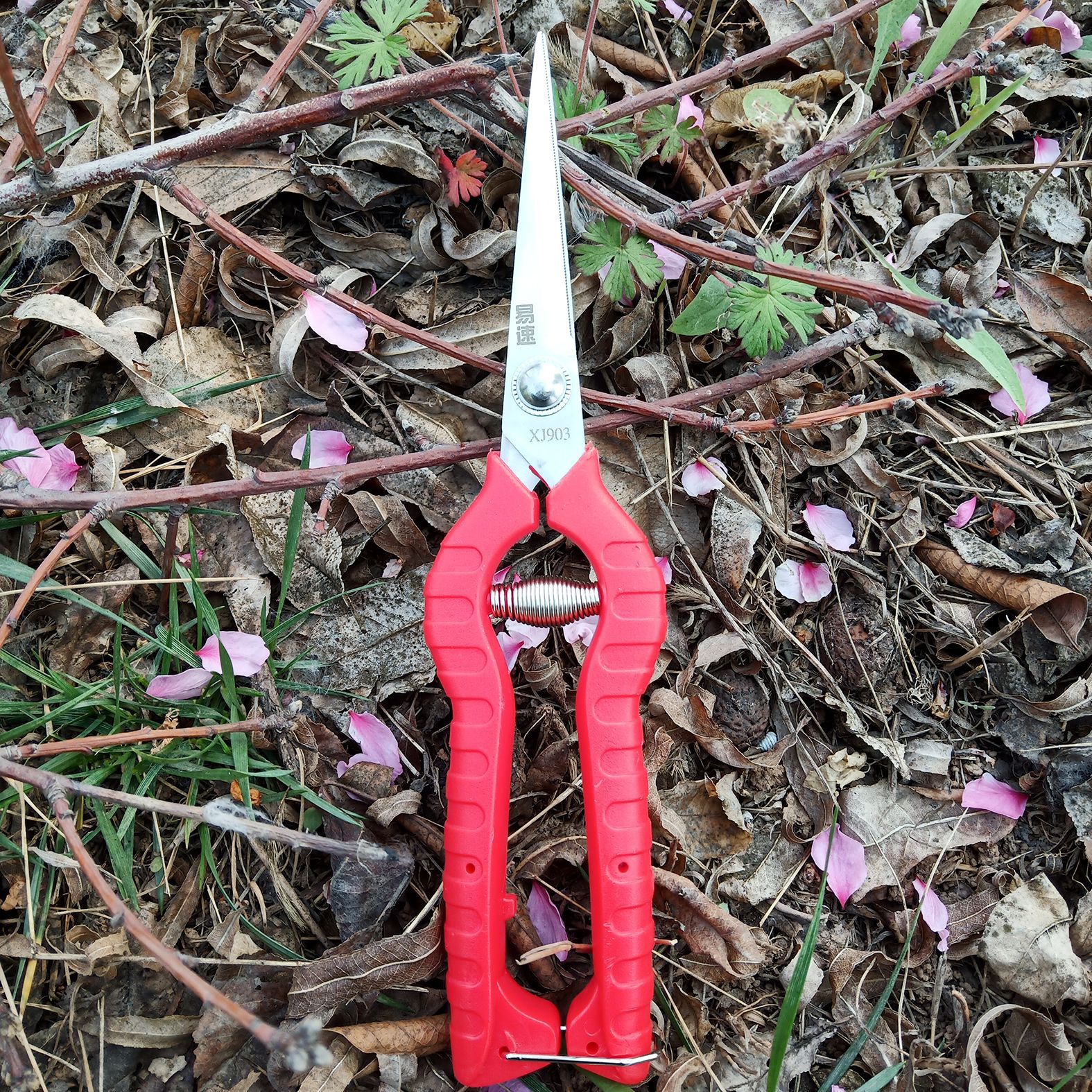 易速XJ903稀果剪 蔬果剪园艺剪修花剪摘果采果剪葡萄蔬花剪修枝剪