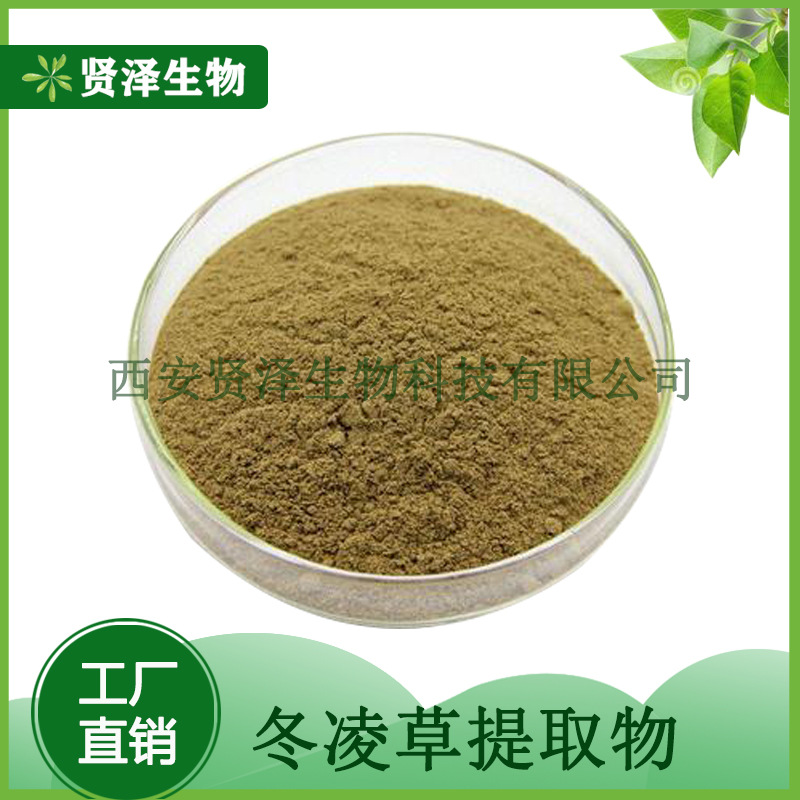 冬凌草提取物 10:1 冰凌草植物原料萃取 贤泽生物 现货供应