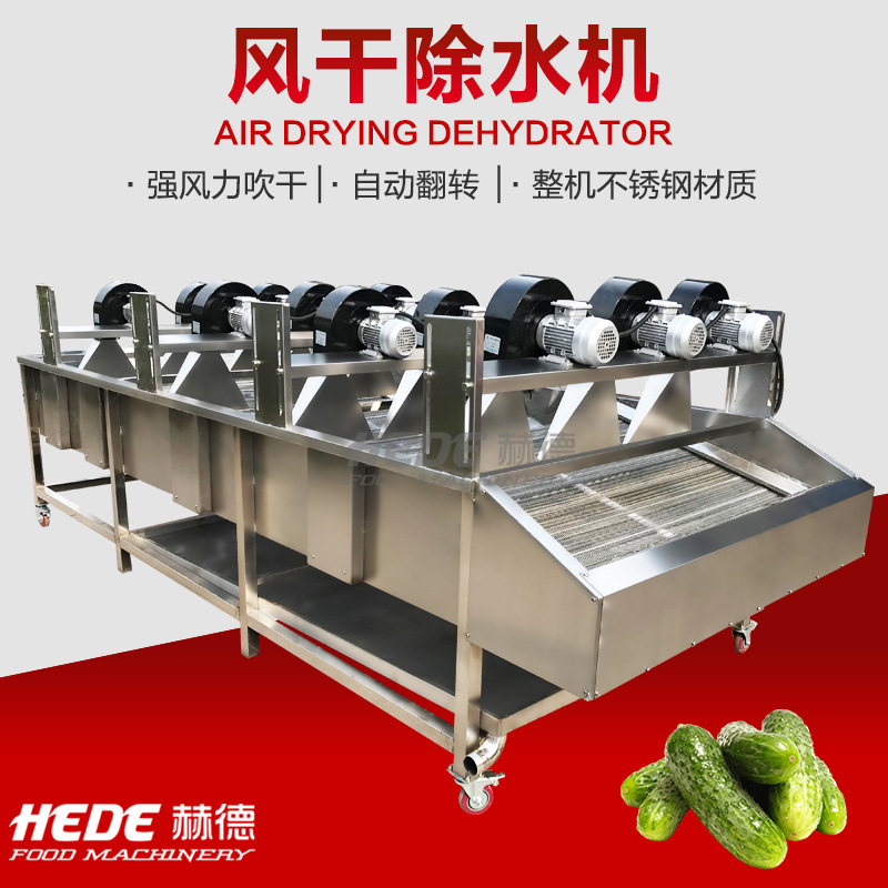 厂家供应 鲜花椒气泡冲浪清洗去杂机 豆角四季豆清洗风干机设备