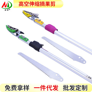 �S�ҹ���3��4��5����s�߿�ժ�����ɹ�����֦���֦���۲�ժ��