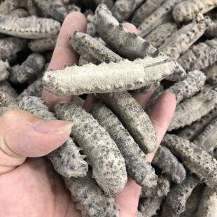 ���l����� �����Űͅ� �Űͅ� �����̅� �������� ������