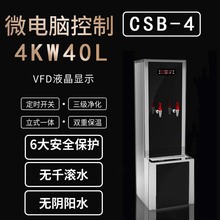 �������tԺ�WУ���S���Fվ������_ˮ��CSB-4  4KW   ��ˮ��48L/H