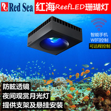 ɫREDSEAtLED IˮןɺLPS/SPS ReefLED