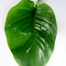 �S�ҳ���ʡ��ʡ�r���͇��F������ʡș��ˮ���r�Ý�����Ч