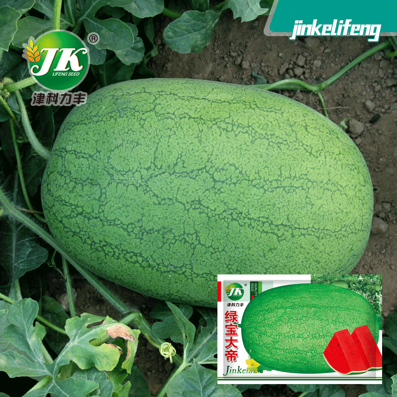 Factory Wholesale Green Treasure Emperor Watermelon Seeds Lazy Man Big Fruit Green Skin Red Flesh New Red Treasure Fruit Seeds Melon Seeds