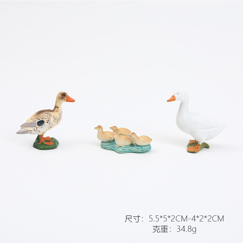 The duckling family of 6