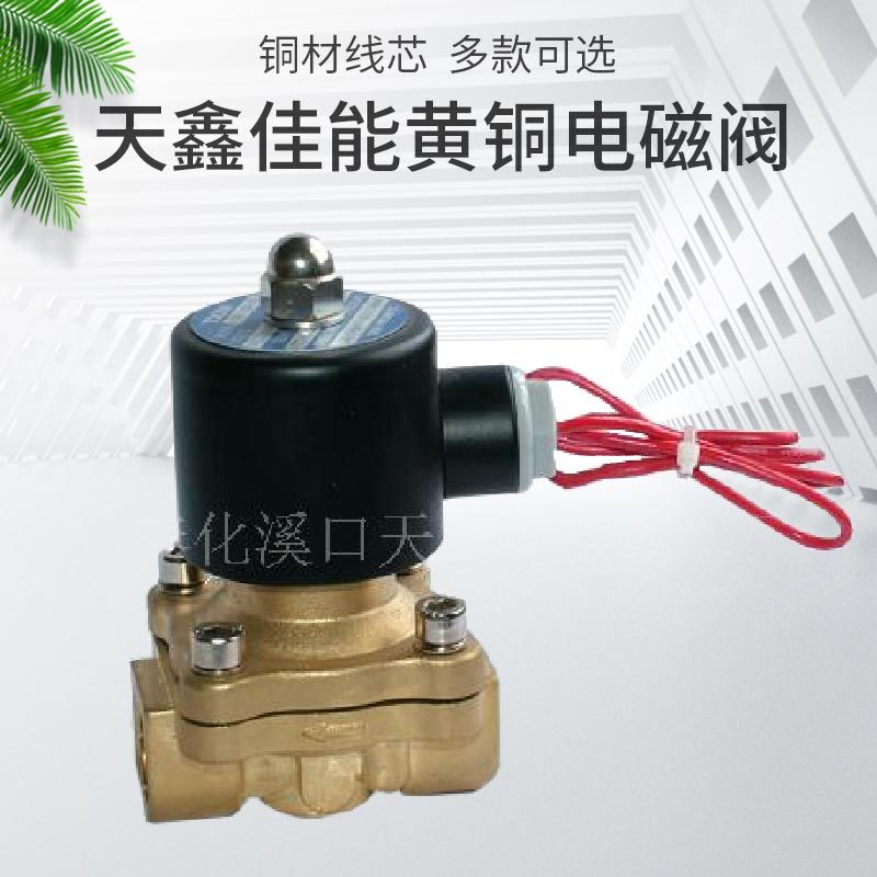 天鑫厂家2W系列黄铜电磁阀 热水电磁阀量大从优