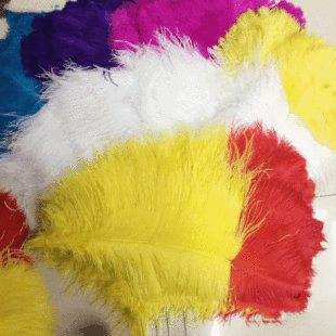���S�����l�� �pɫ�r�Bë�L��65-70cm���y���߻�c�b��ɫ��Ⱦɫ