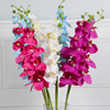 Simulatory Phalaenopsis 9 heads of Phalaenopsis Foreign Trade Phalaenopsis Puppet flower wholesale handy