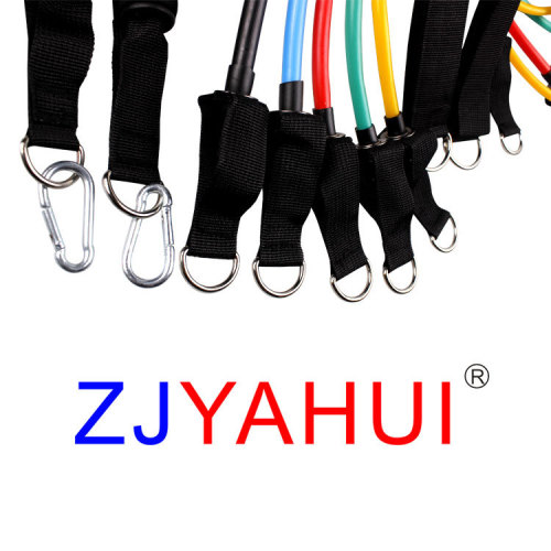 Resistance Band Set with D-Ring Equipment for Yoga and Fitness, Stretching Band with 11 Pieces