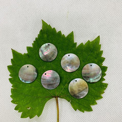 黑蝶貝圓片邊孔  diy飾品配件批發 耳環髮飾胸針銀飾配件