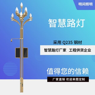 铝合金5G智慧路灯户外公园路灯杆小区智能安防无线通信LED玉兰