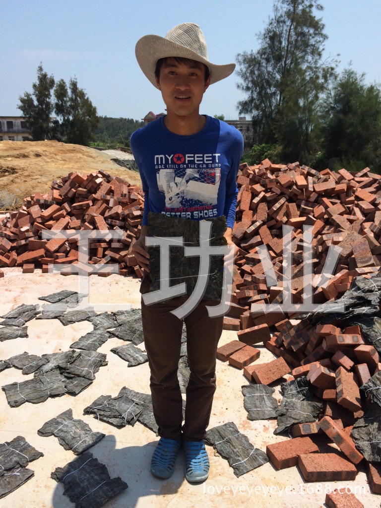 (多图)30公分海带片 海带短板 无夹碎菜 干海带晒山坡上的菜福建