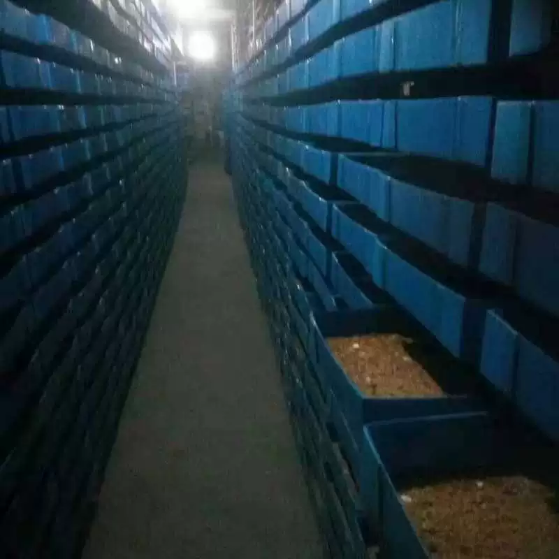 Ящики для разведения насекомых с желтым порошком доступны в различных спецификациях. Заводские яблоки для разведения насекомых с прямым управлением доступны в различных спецификациях. Большие количества выгодные.