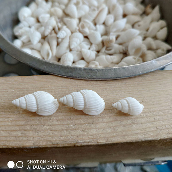 Home decoration natural conch shell aquarium decoration corn snails…