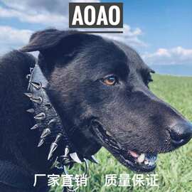 厂家直销狗项圈大中型犬霸气铆钉宠物项圈狼牙尖钉PU颈圈防咬脖子