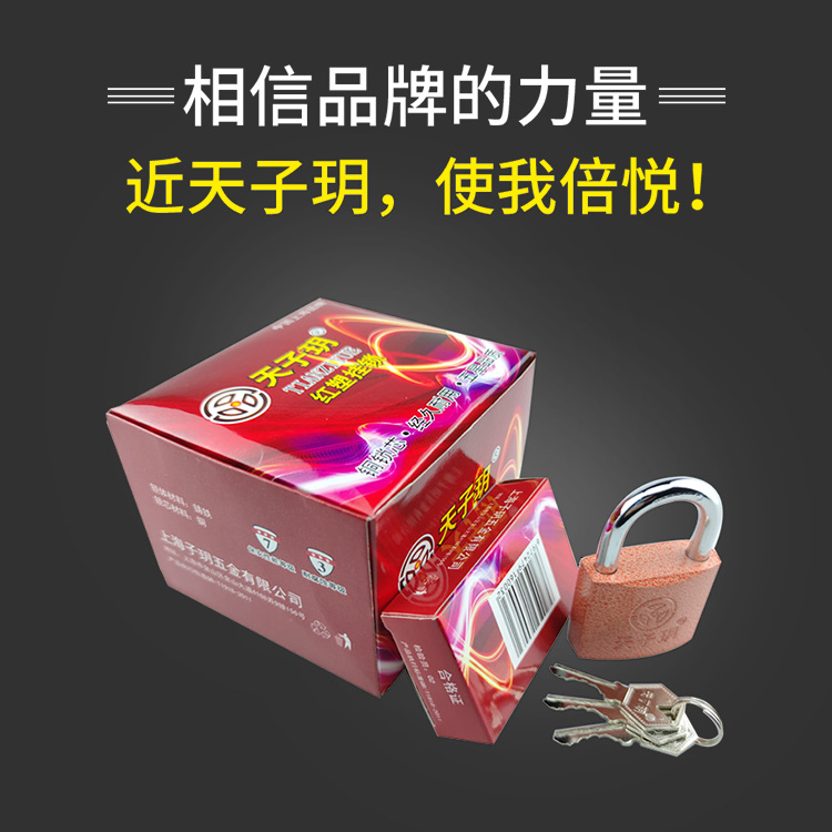 天子玥掛鎖銅鎖芯全銅芯門鎖防水防鏽商場超市鎖頭好通開鎖具通用