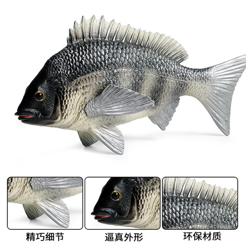 Children's marine animal model car ornaments simulated freshwater fish arowana salmon tuna carp toys