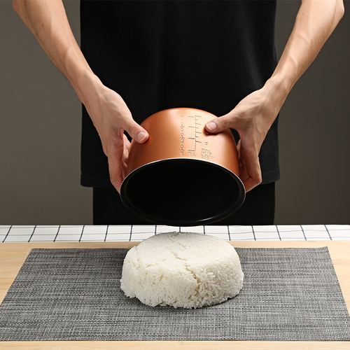 Car Electric Rice Cooker 24V Large Truck Multi-purpose Car Electric Rice Cooker Mini 12V Small Car Self-driving Tour Car Home Dual-use