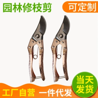 园林剪刀工业级树枝剪刀， 不锈钢花园剪刀，园艺剪刀玫瑰剪刀批