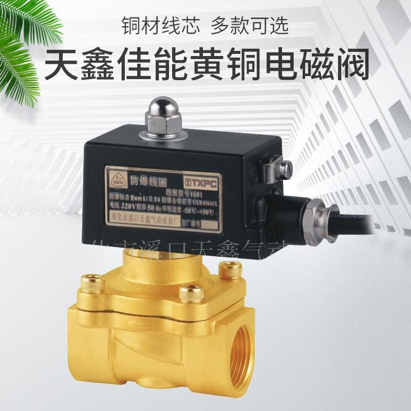 天鑫供应二通二位黄铜2W2-20电磁阀 2W系列防爆黄铜电磁阀