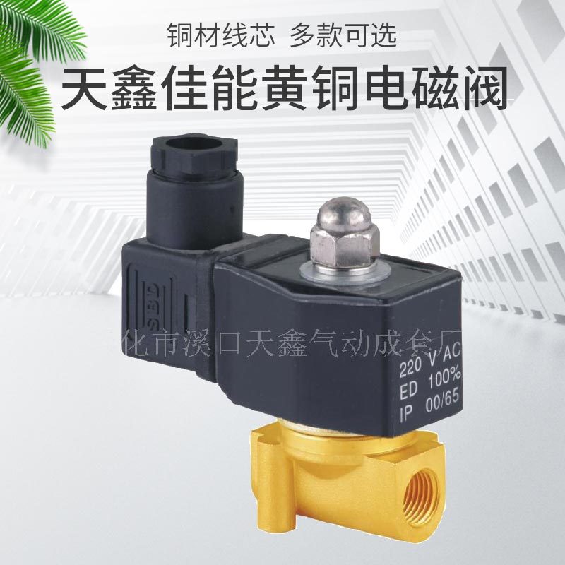 天鑫厂家二通二位黄铜电磁阀 供应电磁阀2W025-08