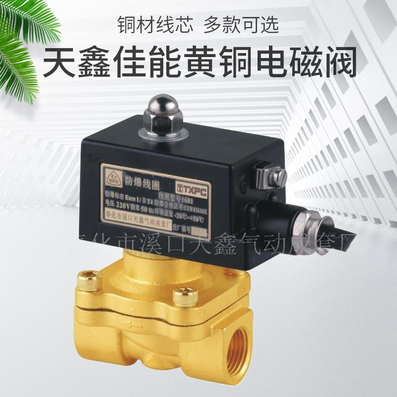 天鑫直销黄铜电磁阀2WZ-15 二通式防爆电磁阀