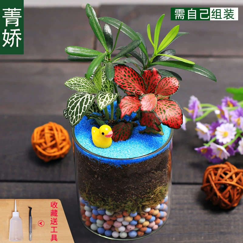 Micro landscape, table glass materials set, DIY, Birthday gift