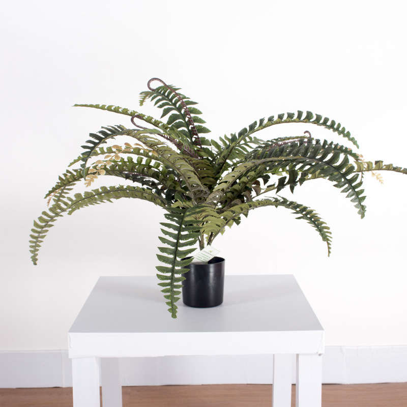 Planta de helecho artificial en maceta pequeña, pequeño bonsái artificial para decoración de paisajismo, árbol de hierba persa, planta de helecho.