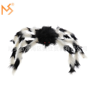 �f�}��ë�qspider �ưɹ����b���50CM֩�� �������Ç��˵���