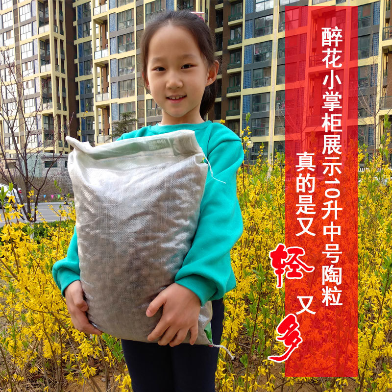 陶粒多肉垫底铺面花卉盆栽种植小陶粒土园艺轻质陶粒花用垫底陶粒