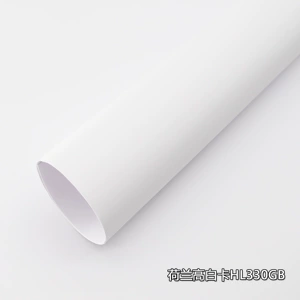 Всегда полностью открыть специальную бумагу голландской карты High White Paper Art Paper Print