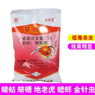 ������3%���x��ϓ���º��x�w�� ���ϻ� ����x�������rș�w����