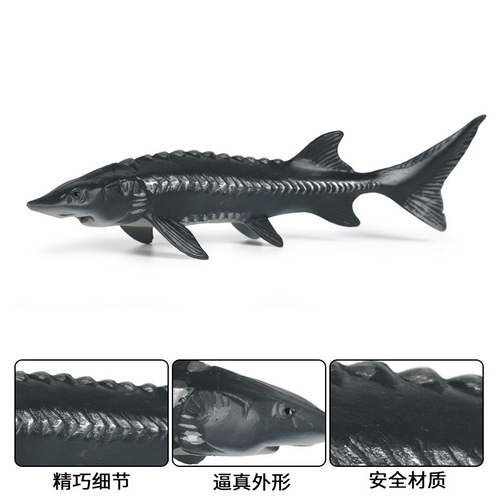 Children's marine animal model car ornaments simulated freshwater fish arowana salmon tuna carp toys
